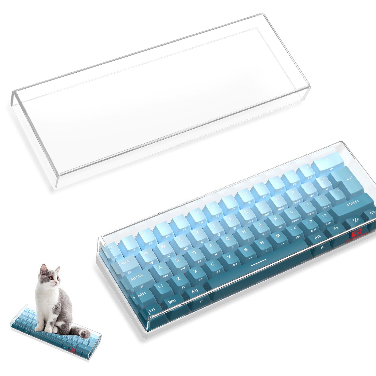 Funda para teclado de 62 teclas ATTACK SHARK x MAMBASNAKE
